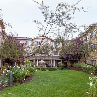 A serene garden with lush green grass and blooming flowers in front of a multi-story building.