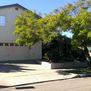 A suburban house with a garage and a large tree in the front yard.