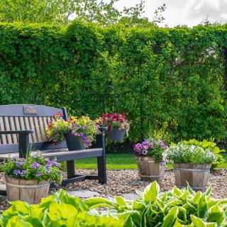 A serene garden scene with a bench surrounded by potted plants and lush greenery.