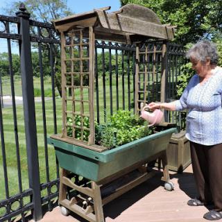A woman tending to her plants in a raised garden bed on a sunny day.