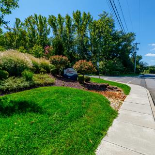 A scenic landscape with a sidewalk alongside a road, surrounded by lush greenery and trees under a clear blue sky.