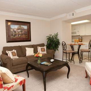 A cozy living room with a sofa and coffee table, connected to a kitchen area with bar stools.