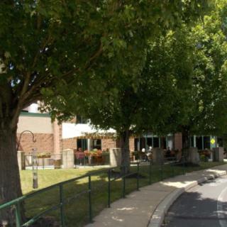 A school building with a tree-lined walkway on a sunny day.