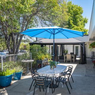 A sunny backyard patio featuring a dining set with a blue umbrella and surrounding greenery.