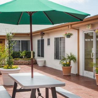 A sunny courtyard featuring a bench table with a green umbrella and potted plants.