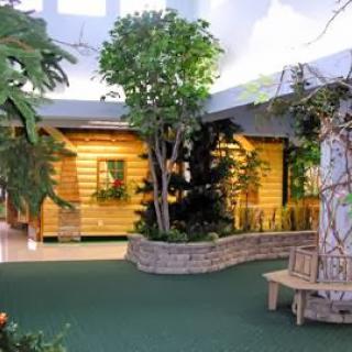 A serene indoor garden featuring a wooden cabin, lush greenery, and inviting seating.