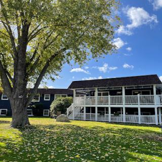 A serene view of a multi-level building surrounded by lush greenery and a large tree, under a bright blue sky.