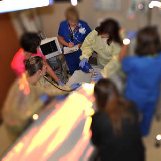 Medical professionals collaborating in an emergency setting.