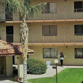 A person walking near an apartment building with balconies and a palm tree.