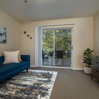 A modern living room with a blue couch, decorative rug, indoor plant, and sliding glass doors leading to an outdoor area.
