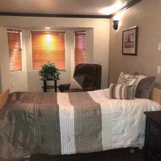 A cozy bedroom with a neatly made bed, window shades, and a potted plant.