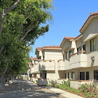 A row of residential apartment buildings with a tree-lined sidewalk on a sunny day.