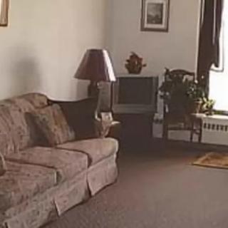 A cozy living room with a sofa, lamp, TV, and plant by the window.