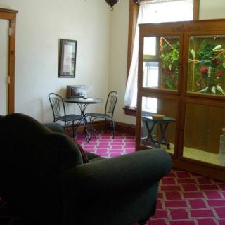 A cozy living room with a sofa, small table and chairs, and a plant display near the window.