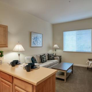 A cozy living room with a kitchen counter, sofa, and natural lighting.