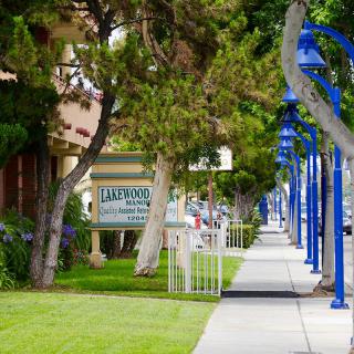 A vibrant urban sidewalk lined with trees and blue street lamps.