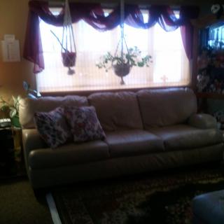 A cozy living room featuring a leather sofa, adorned with patterned cushions, and decorative plants hanging by the window.