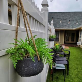 A cozy backyard setup with hanging plants and seating area.