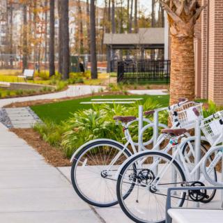 A scenic park pathway with bicycles parked in a rack.