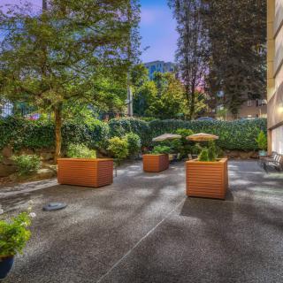 A tranquil outdoor garden area with planters and lush greenery, captured in the evening.