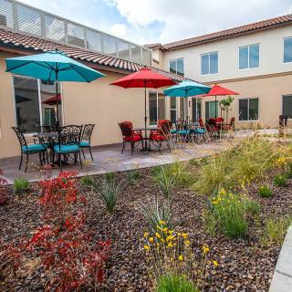 A beautifully landscaped patio area with colorful umbrellas and comfortable seating outside a modern building.