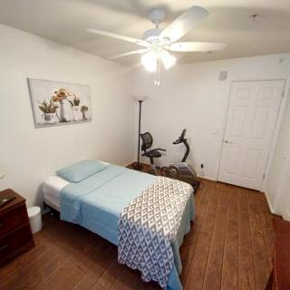A minimalist bedroom featuring a single bed, exercise bike, and simple decor.