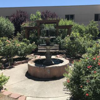 A serene garden featuring a central fountain surrounded by lush greenery and blooming flowers.