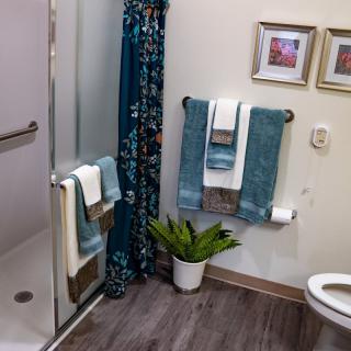 A well-decorated bathroom featuring a shower, towels, indoor plant, and framed pictures on the wall.