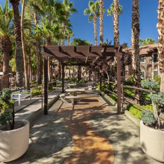 A sunlit garden pathway featuring a pergola surrounded by palm trees and outdoor seating.