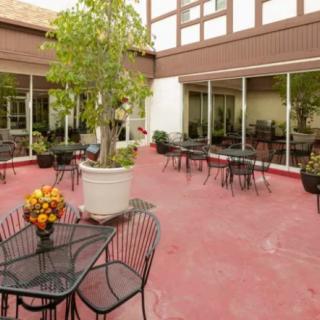 A cozy outdoor patio with metal tables and chairs surrounded by potted plants.