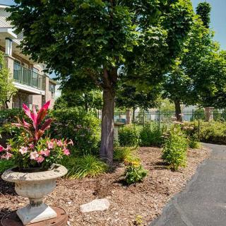 A scenic garden pathway lined with trees and vibrant flowers.
