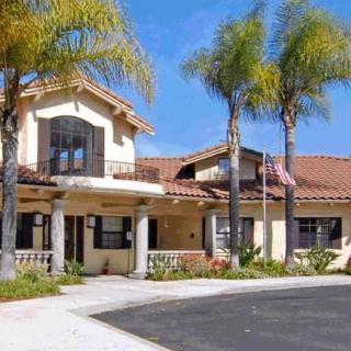 A suburban house with palm trees in the front yard under a clear blue sky.