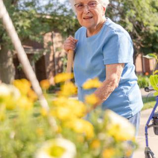 An elderly woman enjoys gardening in a sunny outdoor setting, surrounded by vibrant flowers.
