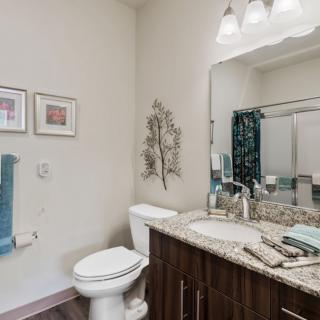A modern bathroom with a granite countertop, mirror, and decorative elements.