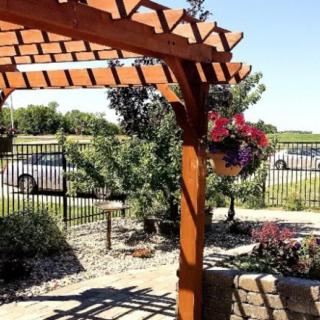 A sunny outdoor garden featuring a wooden pergola with hanging flowers and surrounding plants.