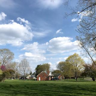 A serene view of a park with lush green grass, trees in bloom, and a charming building under a partly cloudy sky.