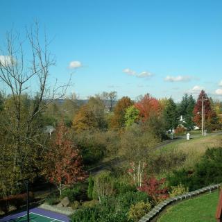 A scenic view of an autumn landscape with colorful trees and a clear blue sky.