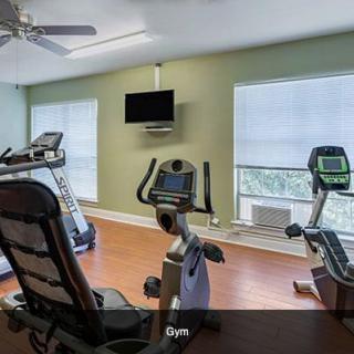 A home gym with various exercise equipment including treadmills and stationary bikes.
