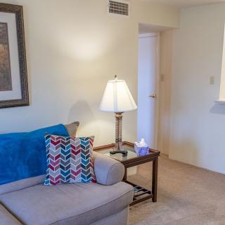 A cozy living room with a sofa, decorative pillows, and a lamp on a side table.