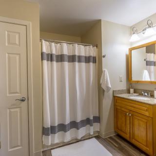 A modern bathroom with a shower curtain, wooden vanity, and large mirror.