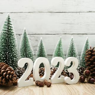 Celebrating the festive season and welcoming 2023 with joy and cheer!