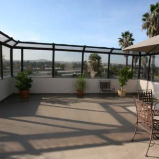 A sunny balcony with city views, furnished with plants and chairs.