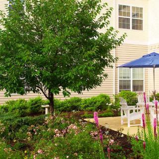 A peaceful garden with a tree, flowers, and a bench with an umbrella on the patio.