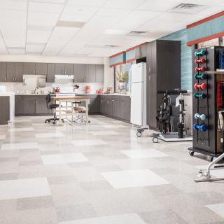 A modern gym interior with exercise equipment and weights neatly arranged.