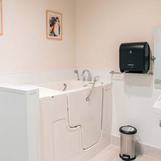 An accessible bathroom featuring a walk-in bathtub with a secure door and modern amenities.