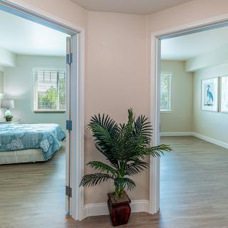 A hallway with doors leading to a furnished bedroom and an empty room, featuring wooden floors and a potted plant.