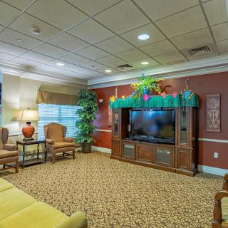 A cozy living room featuring a large television, comfortable seating, and decorative indoor plants.