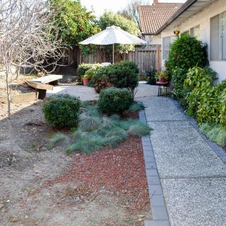 A landscaped backyard with a pathway, bushes, and a patio umbrella.