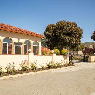 A suburban house with a garden and trees on a sunny day.
