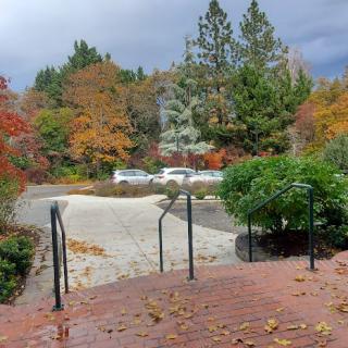 A scenic view of a pathway surrounded by colorful autumn foliage and trees under a cloudy sky.